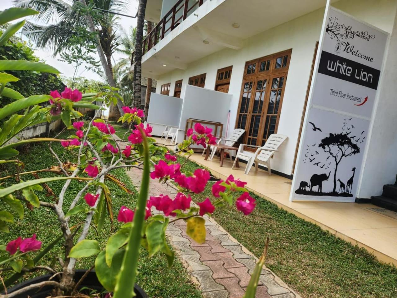 White Lion Paradise Dikwella Batigama Exteriér fotografie